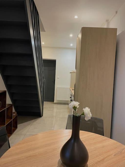 Appartement Paisible Duplexe Sur D Ascq