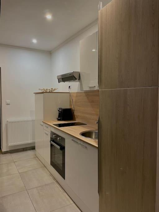 Paisible Duplexe Sur D Ascq Appartement *